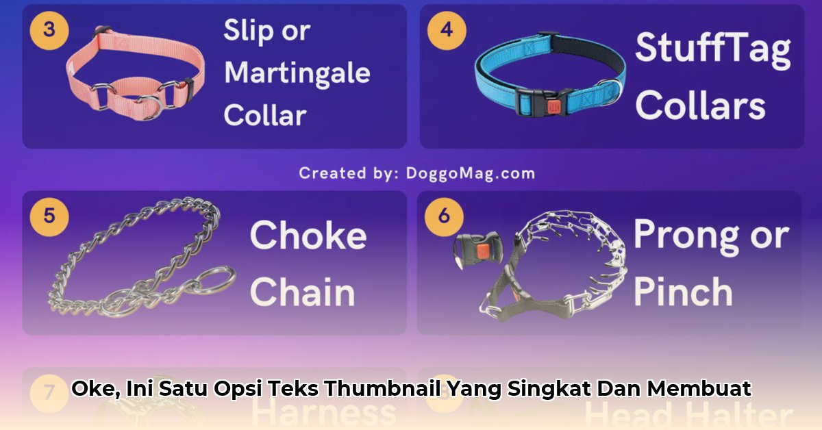 collars-and-company-net-worth